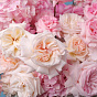 “Rose Wine” Flower Basket