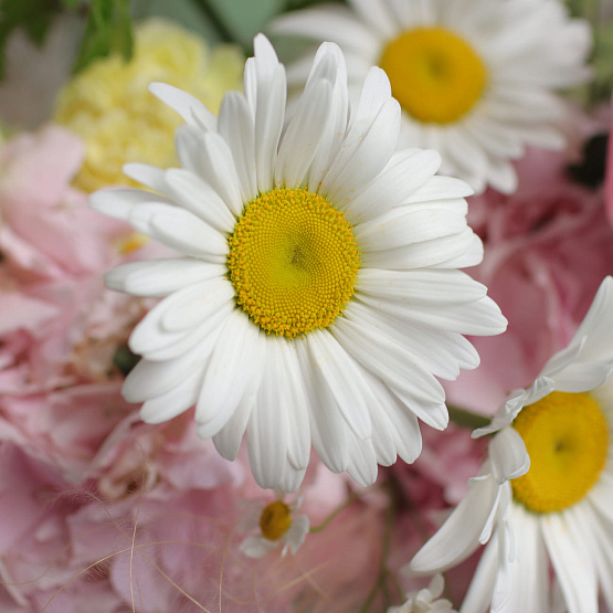 “Summer Kiss” Signature Bouquet