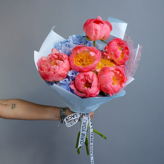 Peonies “Coral Charm” and Hydrangea Bouquet