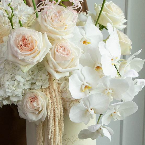 “Elegant Plie” Flower Box