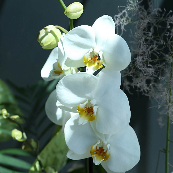 Interior Composition 20