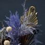 Dried Flower Composition Blue