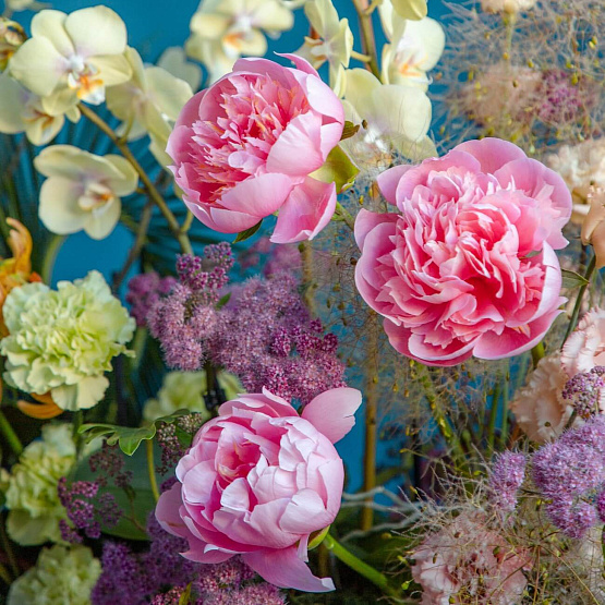 Interior Composition 21