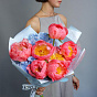 Peonies “Coral Charm” and Hydrangea Bouquet