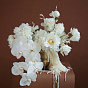Composition with Phalaenopsis
