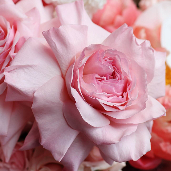 “Ursula” Signature Bouquet